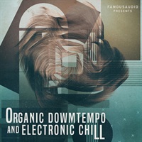 ORGANIC DOWNTEMPO & ELECTRONIC CHILL(オンライン納品)(2時間以内に納品)