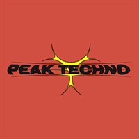 PEAK TECHNO(オンライン納品)(2時間以内に納品)