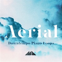 AERIAL(オンライン納品)(2時間以内に納品)