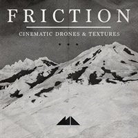 FRICTION(オンライン納品)(2時間以内に納品)