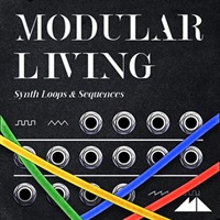 MODULAR LIVING(オンライン納品)(2時間以内に納品)