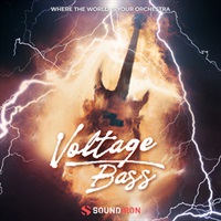 VOLTAGE BASS(オンライン納品)(2時間以内に納品)