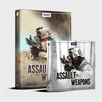 ASSAULT WEAPONS - BUNDLE(オンライン納品)(2時間以内に納品)