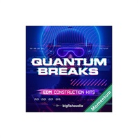 QUANTUM BREAKS - EDM CONSTRUCTION KITS MMT(オンライン納品)(2時間以内に納品)