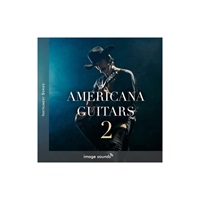 AMERICANA GUITARS 2(オンライン納品)(2時間以内に納品)