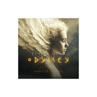 ETHERA GOLD ODYSSEY(オンライン納品)(2時間以内に納品)