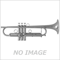 Queen Brass クイーンブラス / ZORRO Mode II BN 【Bb トランペット】