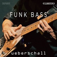 FUNK BASS(オンライン納品)(2時間以内に納品)