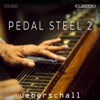 PEDAL STEEL 2(オンライン納品)(2時間以内に納品)