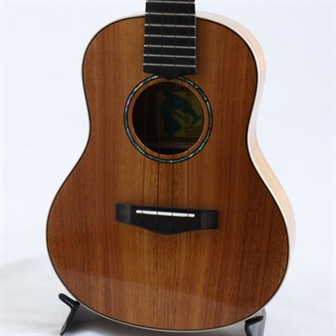 BIG ISLAND 【USED】 KM-TRG ビッグアイランド
