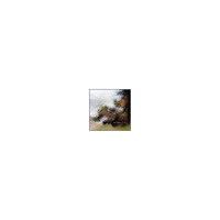 CD Polar Chalors / a day