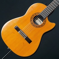 【USED】 GALLAGHER AN2 【SN.8857584】