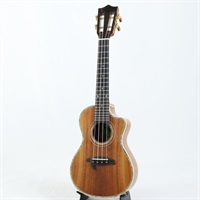 【USED】 KSX-CTG Concert ビッグアイランド