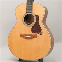 Gold Label 814e テイラー