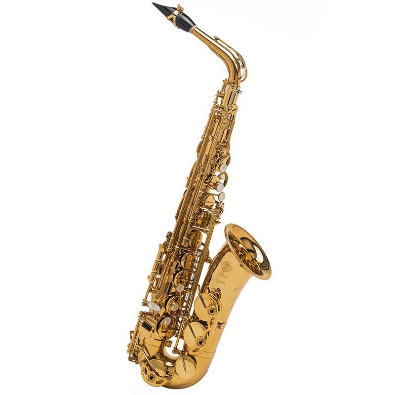 Selmer Paris 【彦坂眞一郎氏選定品】アルトサックス セルマー Signature シグネチャー DARK SL(ダークシグネチャーラッカー)【選定料サービス!!】 【調整&セットアップ後出荷】【5年間キーバランス調整無料】