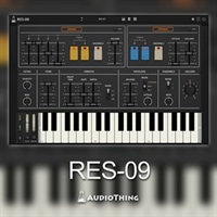 RES-09(オンライン納品)(2時間以内に納品)