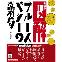 図解 ﾌﾞﾙｰｽ･ｷﾞﾀｰの常套句(新装版)