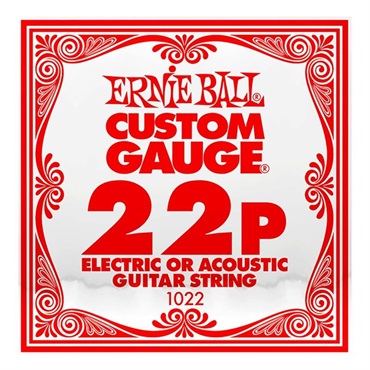 ERNIE BALL G STEEL PLAIN 022 ｷﾞﾀｰｹﾞｰｼﾞｹﾞﾝ