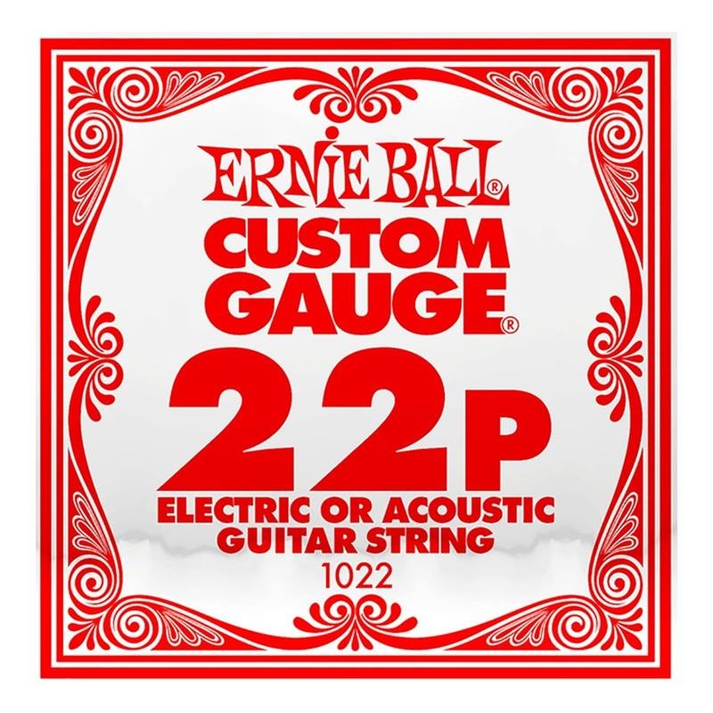 ERNIE BALL G STEEL PLAIN 022 ｷﾞﾀｰｹﾞｰｼﾞｹﾞﾝ