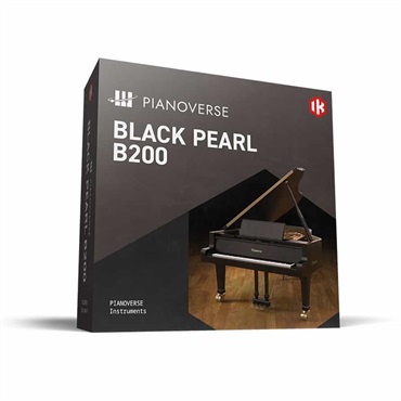 IK Multimedia Pianoverse Black Pearl B200 (アイケーマルチメディア)(ピアノバース)(オンライン納品)