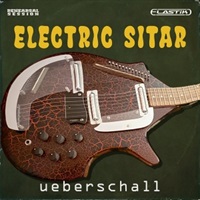 【ウバーシャルゴールデンウィークセール！】ELECTRIC SITAR(オンライン納品)(2時間以内に納品)
