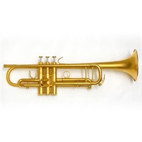 USED 中古 Van Laar  ヴァン・ラー / Chuck Findley SGP #19*2【Bb トランペット】【調整後出荷】
