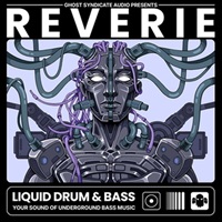 REVERIE - LIQUID DRUM & BASS(オンライン納品)(2時間以内に納品)