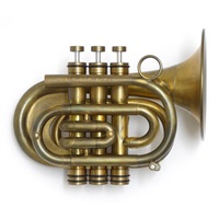 USED 中古  テイラー / Pocket Rocket Pro NL 【Bb ポケット トランペット】【調整後出荷】