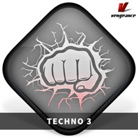 TECHNO 3(オンライン納品)(2時間以内に納品)