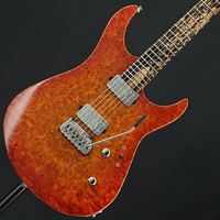 USED 中古 Koca Guitars Light， 6 String (Burl Maple Top / Pale Moon Ebony / Birds Eye Maple Neck )
