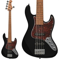 WJB5-1DX-AC RSM/M (BLK)