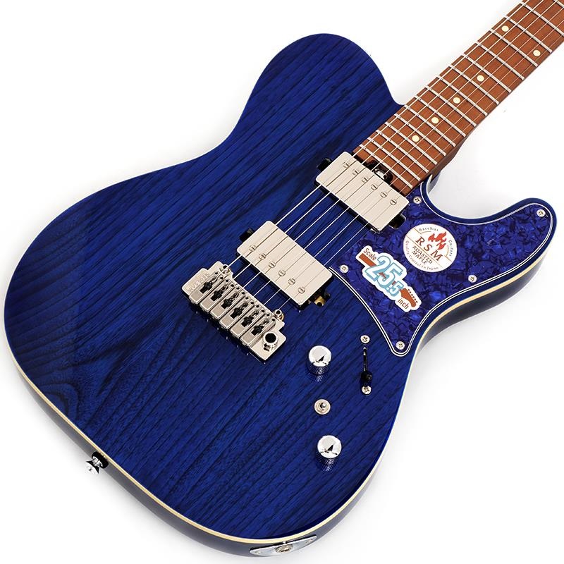 Bacchus Global Series TACTICS-24ASH/RSM (STB/BLUE PG) [Limited Model] 【特価】