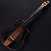 USED 中古 NBSG Bass Fretless
