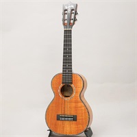 USED 中古 HF-2 D2I 100th カマカ