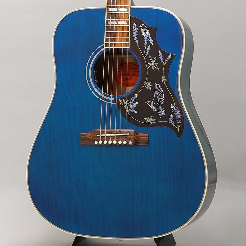 Gibson 【特価】【創業50周年大決算SALE】 Miranda Lambert Bluebird （傷アリ大特価） ギブソン