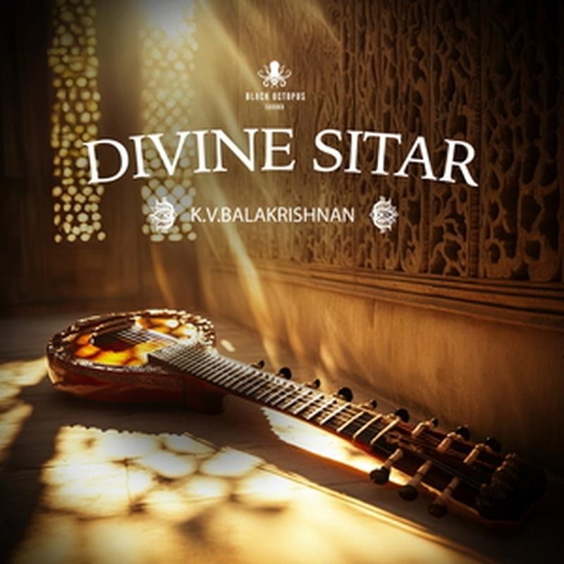BLACK OCTOPUS DIVINE SITAR BY KV BALAKRISHNAN(オンライン納品)(2時間以内に納品)