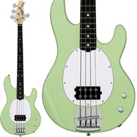 Intro Series Ray2 (Misty Green/Rosewood) 【特価】 【7月12日～13日限定 低音天国バーゲン】