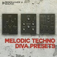 MELODIC TECHNO DIVA PRESETS(オンライン納品)(2時間以内に納品)