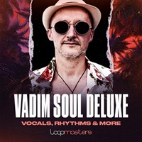 VADIM - SOUL DELUXE(オンライン納品)(2時間以内に納品)