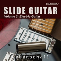 SLIDE GUITAR 2(オンライン納品)(2時間以内に納品)