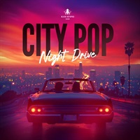 CITY POP NIGHT DRIVE(オンライン納品)(2時間以内に納品)