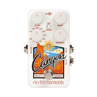 【GET STOMP本気バーゲン！】Canyon [Delay & Loopers] ディレイ エレハモ