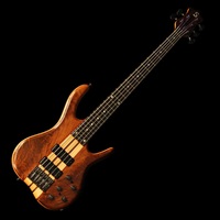 USED 中古 Black Tiger 5 (Crotch Walnut Top/5pc. Body Wings) '08