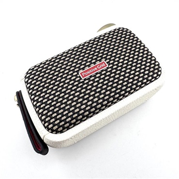 Positive Grid USED 中古 Spark Go