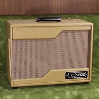 USED 中古 Raleigh 1ｘ10 Combo ［Cocoa Tolex］