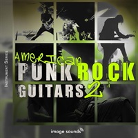AMERICAN PUNK ROCK GUITARS 2(オンライン納品)(2時間以内に納品)