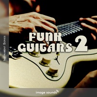 FUNK GUITARS 2(オンライン納品)(2時間以内に納品)