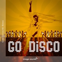 GO DISCO(オンライン納品)(2時間以内に納品)
