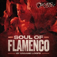 SOUL OF FLAMENCO(オンライン納品)(2時間以内に納品)