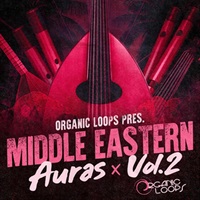 MIDDLE EASTERN AURAS 2(オンライン納品)(2時間以内に納品)